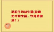 骆驼牛奶益生菌(驼峰奶中益生菌，饮用更健康！)
