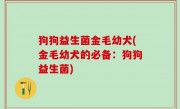 狗狗益生菌金毛幼犬(金毛幼犬的必备：狗狗益生菌)