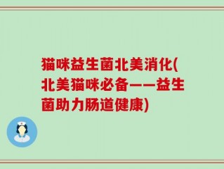 猫咪益生菌北美消化(北美猫咪必备——益生菌助力肠道健康)