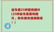 益生菌25种菌株图片(25种益生菌菌株图片，助你拥有强健肠道！)