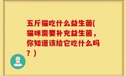 五斤猫吃什么益生菌(猫咪需要补充益生菌，你知道该给它吃什么吗？)