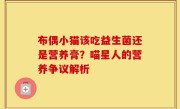 布偶小猫该吃益生菌还是营养膏？喵星人的营养争议解析