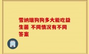 雪纳瑞狗狗多大能吃益生菌 不同情况有不同答案
