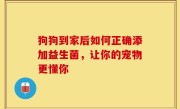 狗狗到家后如何正确添加益生菌，让你的宠物更懂你