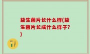 益生菌片长什么样(益生菌片长成什么样子？)