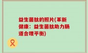 益生菌肽的照片(革新健康：益生菌肽助力肠道合理平衡)