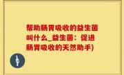 帮助肠胃吸收的益生菌叫什么_益生菌：促进肠胃吸收的天然助手)