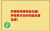 萨摩耶用哪种益生菌(萨摩耶犬友好的益生菌选择)
