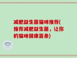 减肥益生菌猫咪推荐(推荐减肥益生菌，让你的猫咪健康苗条)
