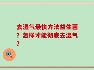 去湿气最快方法益生菌？怎样才能彻底去湿气？