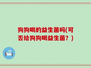 狗狗喝的益生菌吗(可否给狗狗喝益生菌？)