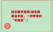 益生菌羊屎蛋(益生菌源自羊肚，一种神奇的“羊屎蛋”)