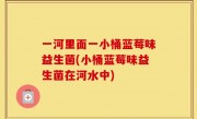一河里面一小桶蓝莓味益生菌(小桶蓝莓味益生菌在河水中)