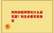 狗狗放屁频繁吃什么益生菌？狗主必看实用推荐