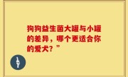 狗狗益生菌大罐与小罐的差异，哪个更适合你的爱犬？”