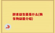 酵素益生菌是什么(酶生物益菌介绍)