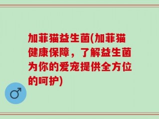 加菲猫益生菌(加菲猫健康保障，了解益生菌为你的爱宠提供全方位的呵护)