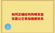 如何正确给狗狗喂食益生菌让它更加健康快乐
