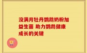 没满月牡丹鹦鹉奶粉加益生菌 助力鹦鹉健康成长的关键