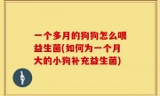 一个多月的狗狗怎么喂益生菌(如何为一个月大的小狗补充益生菌)