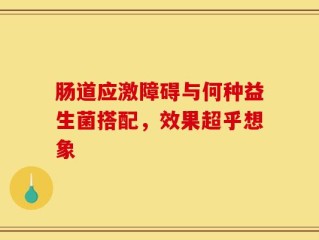 肠道应激障碍与何种益生菌搭配，效果超乎想象