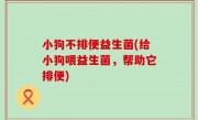 小狗不排便益生菌(给小狗喂益生菌，帮助它排便)