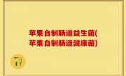 苹果自制肠道益生菌(苹果自制肠道健康菌)