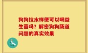狗狗拉水样便可以喝益生菌吗？解密狗狗肠道问题的真实效果