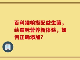 百利猫粮搭配益生菌，给猫咪营养新体验，如何正确添加？