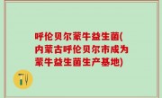呼伦贝尔蒙牛益生菌(内蒙古呼伦贝尔市成为蒙牛益生菌生产基地)