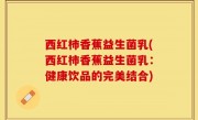西红柿香蕉益生菌乳(西红柿香蕉益生菌乳：健康饮品的完美结合)
