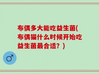 布偶多大能吃益生菌(布偶猫什么时候开始吃益生菌最合适？)