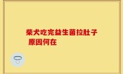柴犬吃完益生菌拉肚子 原因何在