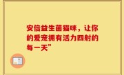 安倍益生菌猫咪，让你的爱宠拥有活力四射的每一天”