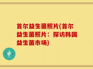 首尔益生菌照片(首尔益生菌照片：探访韩国益生菌市场)