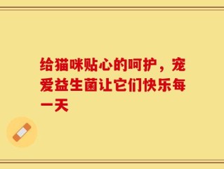 给猫咪贴心的呵护，宠爱益生菌让它们快乐每一天