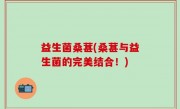 益生菌桑葚(桑葚与益生菌的完美结合！)