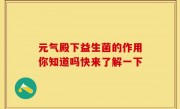 元气殿下益生菌的作用你知道吗快来了解一下