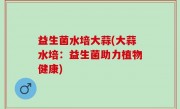 益生菌水培大蒜(大蒜水培：益生菌助力植物健康)
