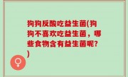 狗狗反酸吃益生菌(狗狗不喜欢吃益生菌，哪些食物含有益生菌呢？)