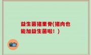 益生菌猪里脊(猪肉也能加益生菌啦！)