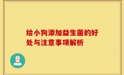 给小狗添加益生菌的好处与注意事项解析