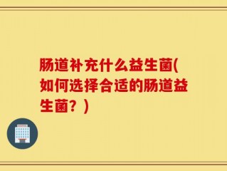 肠道补充什么益生菌(如何选择合适的肠道益生菌？)