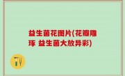 益生菌花图片(花瓣雕琢 益生菌大放异彩)