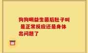 狗狗喝益生菌后肚子叫 是正常反应还是身体出问题了