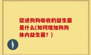 促进狗狗吸收的益生菌是什么(如何增加狗狗体内益生菌？)