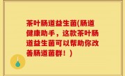 茶叶肠道益生菌(肠道健康助手，这款茶叶肠道益生菌可以帮助你改善肠道菌群！)