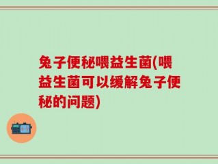 兔子便秘喂益生菌(喂益生菌可以缓解兔子便秘的问题)