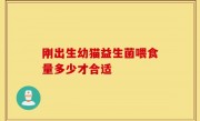 刚出生幼猫益生菌喂食量多少才合适