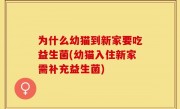 为什么幼猫到新家要吃益生菌(幼猫入住新家需补充益生菌)